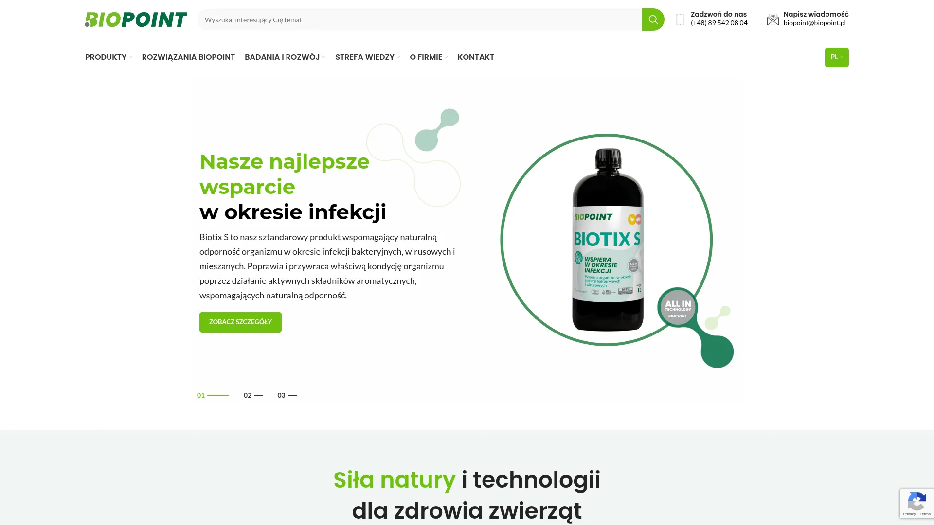 Zrzut ekranu strony