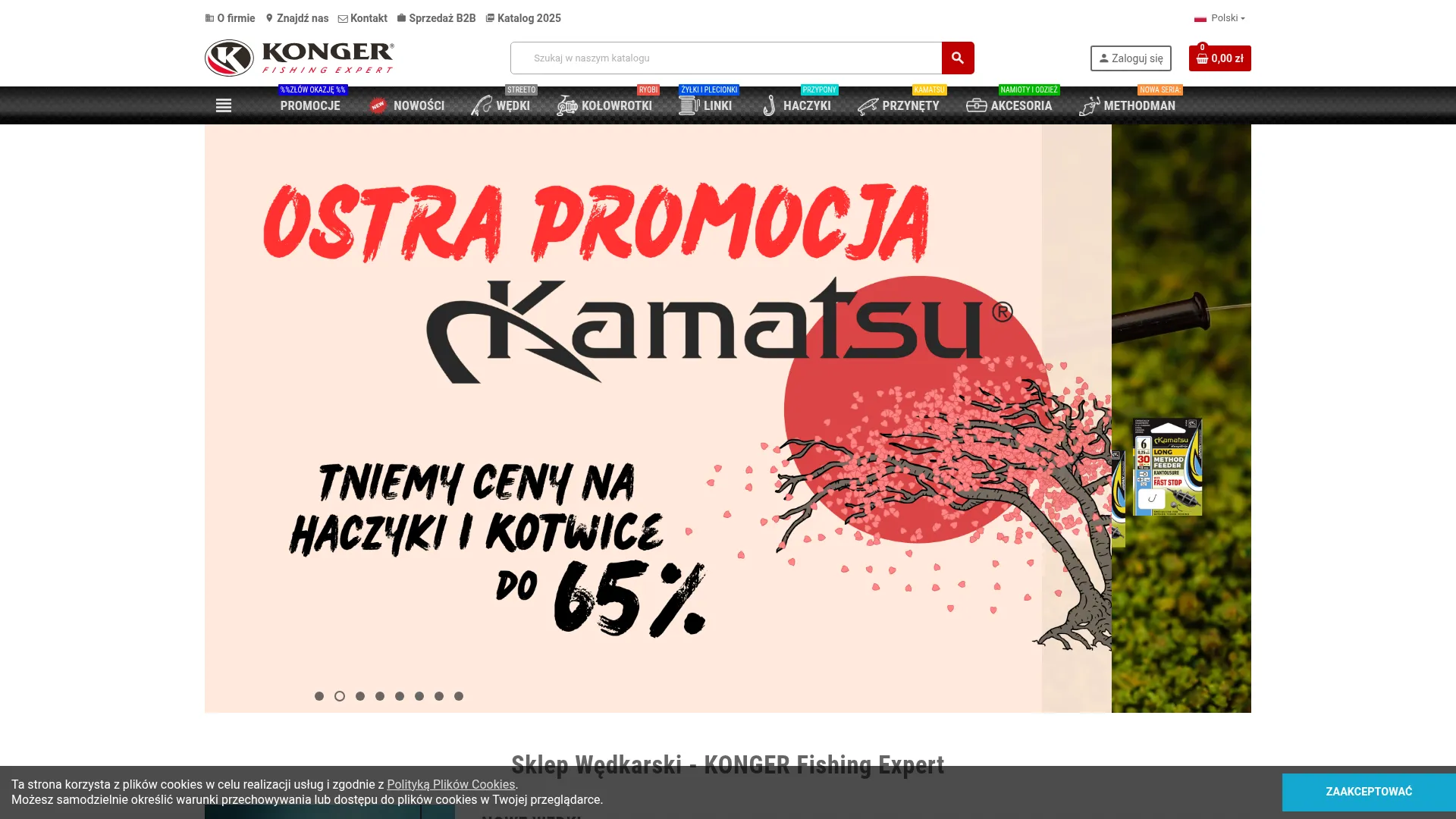 Zrzut ekranu strony